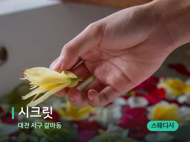 대전 서구 갈마동 시크릿 — 아로마 오일을 쓰는 관리 장면